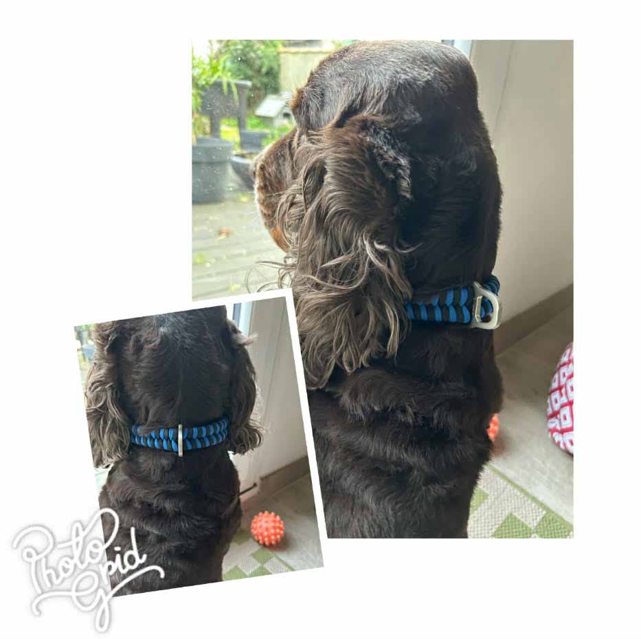 Réalisation laisse artisanale pour un client